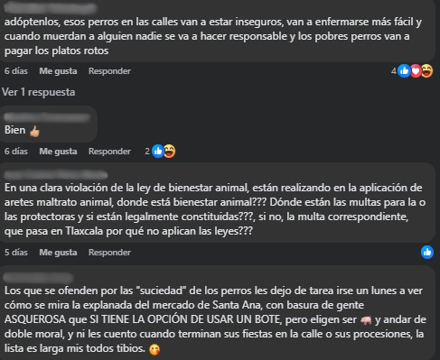 Hay perros en situación de calle marcados últimamente en Tlaxcala; te contamos qué hay detrás 1 Perros en situación de calle