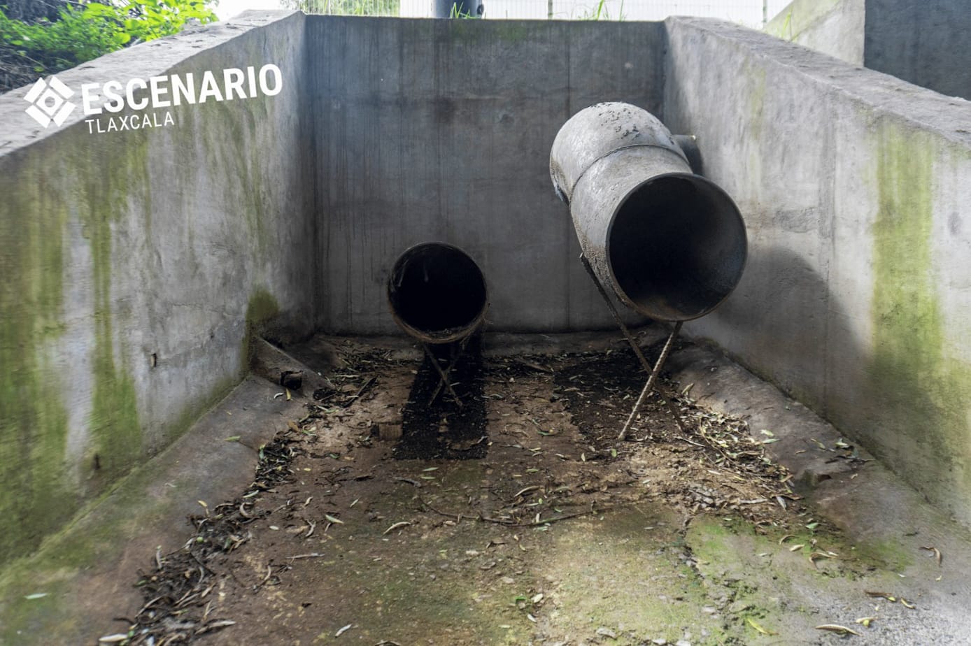 WhatsApp Image 2025 07 17 at 13.51.23