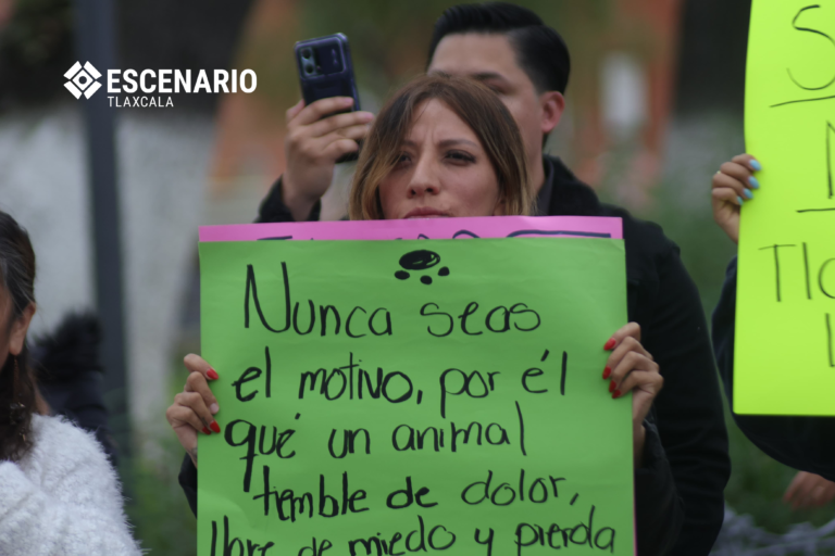 Perros en calle, protestas y omisiones: Tlaxcala sin política clara de bienestar animal