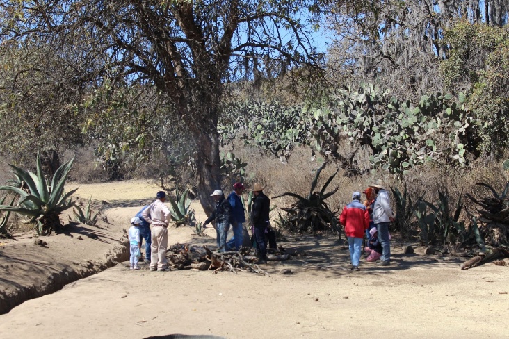 43966562 98a3 4741 a5d5 dda7f223d5b6