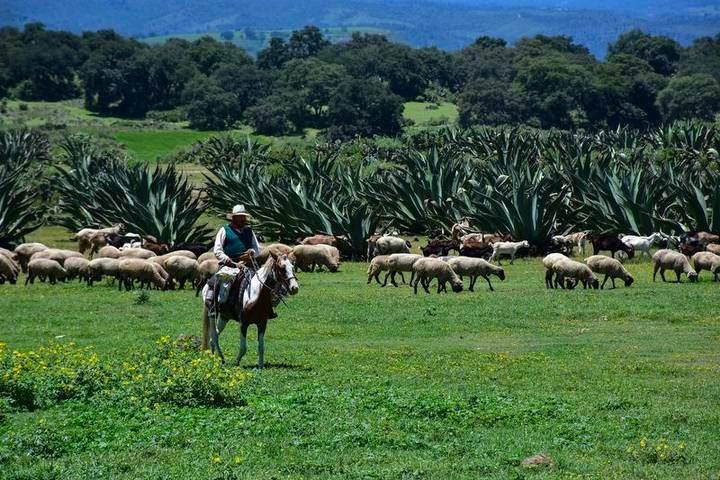 52938d35 6e64 43c0 ad7e f30d32b7bf6e