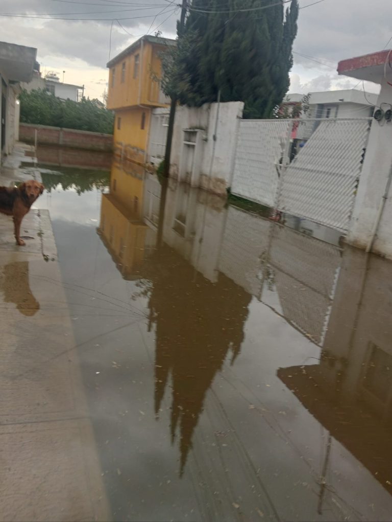 Cocinan con agua contaminada en colonia de Tlaxcala por negligencia de autoridades