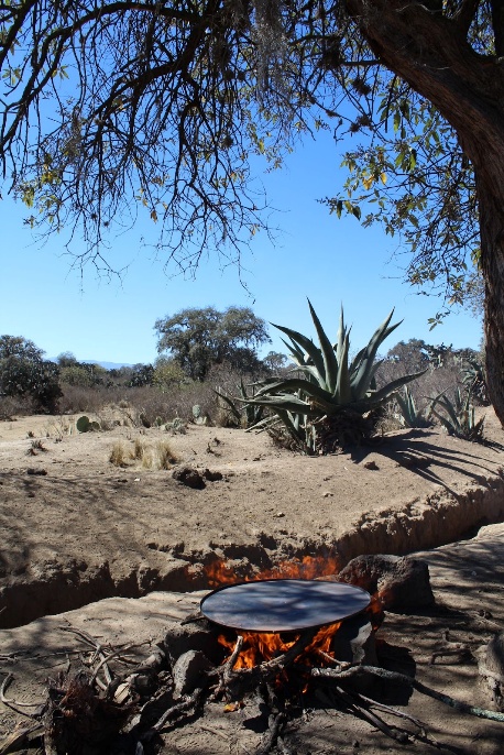 a5c89f96 2ae0 444c bab8 a39a39ec9d82