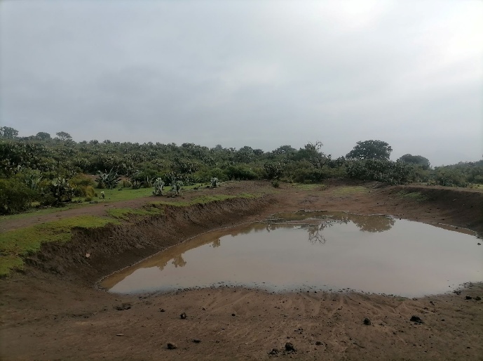 c95be044 c8ab 4ab4 bf26 1f80bebb62e5