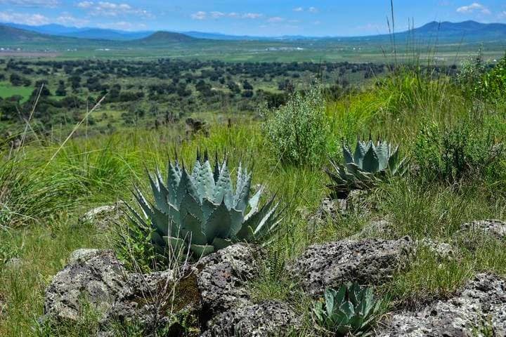 df39ee3a bf13 4554 b83d dd4294125ded