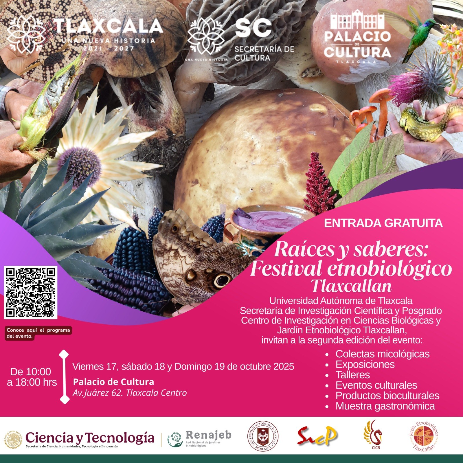 565343894 820534093696948 5872780600526208064 n