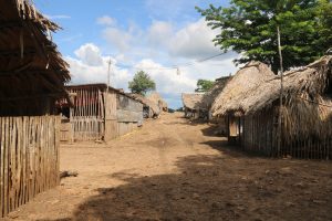 Pueblos indígenas lanzan a campaña «Déjenos Florecer»