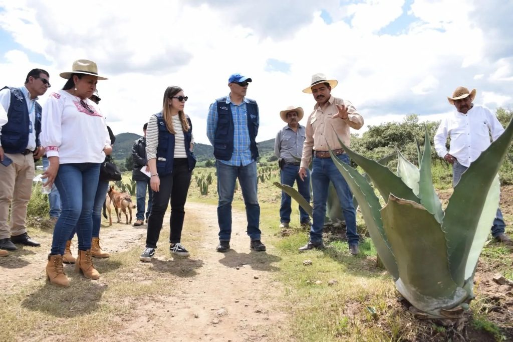 Sistema Metepantle 1