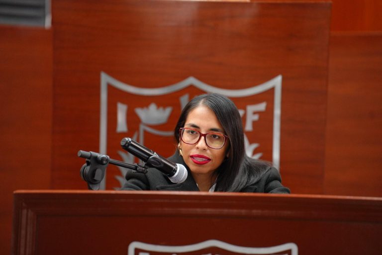 En el Pleno | Gabriela Hernández propone reformar el «lenguaje inclusivo»