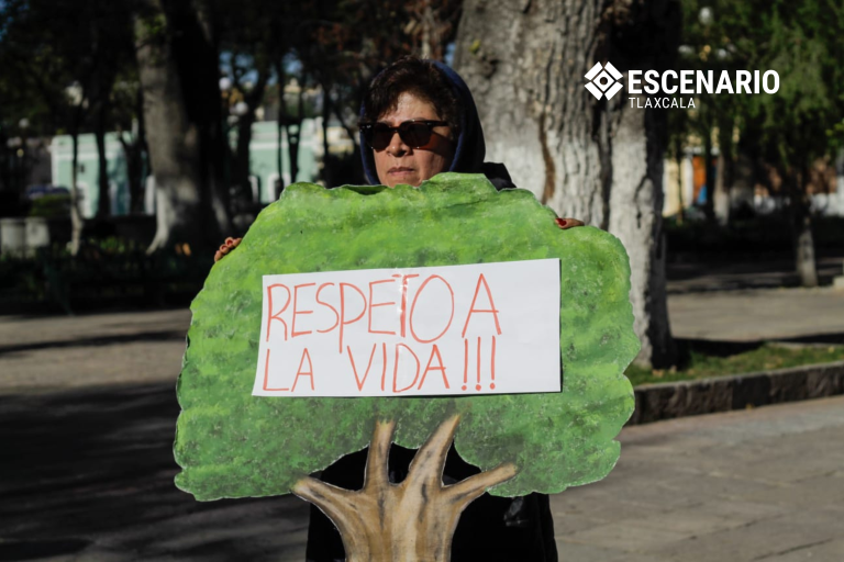 Ciudad de la Juventud: solo el 3 % de los encuestados pidió alberca, pero será una de las obras más costosas del recinto
