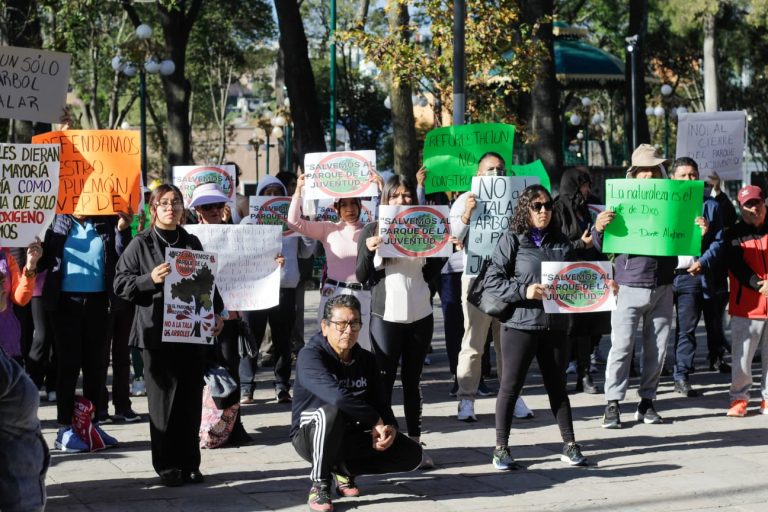 La rehabilitación del Parque de la Juventud representaría la tala de 100 árboles: 500 Almas Verdes
