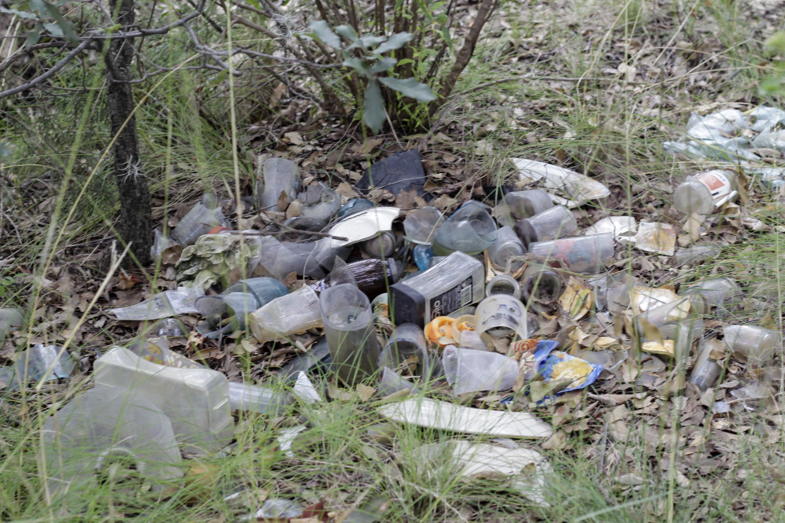 Zona de hospitales en Tlaxcala genera basura sin responsabilidad en su distribución 4 Zona de hospitales en Tlaxcala