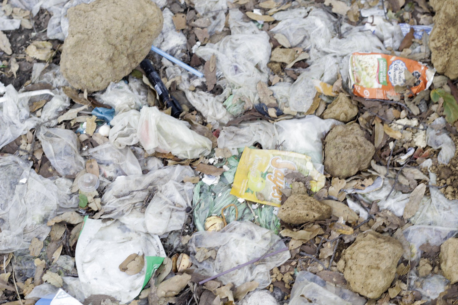 Zona de hospitales en Tlaxcala genera basura sin responsabilidad en su distribución 3 Zona de hospitales en Tlaxcala