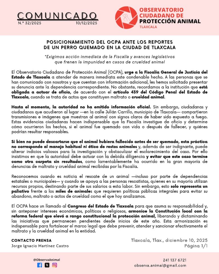 El OCPA exige actuación inmediata por el caso de un perro quemado en Tlaxcala