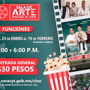 623818275 953253107264411 4566053099366481926 n