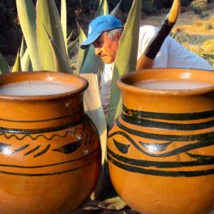 Día Nacional del Pulque: estos son los pueblos más pulqueros en Tlaxcala 1 Día Nacional del Pulque