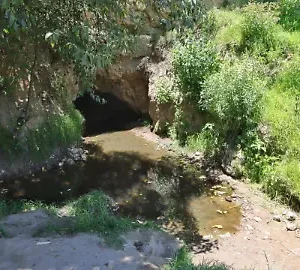 Las Cuevas de Apetatitlán: el bosque secreto que respira dentro de la ciudad