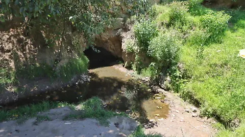 Las Cuevas de Apetatitlán: el bosque secreto que respira dentro de la ciudad