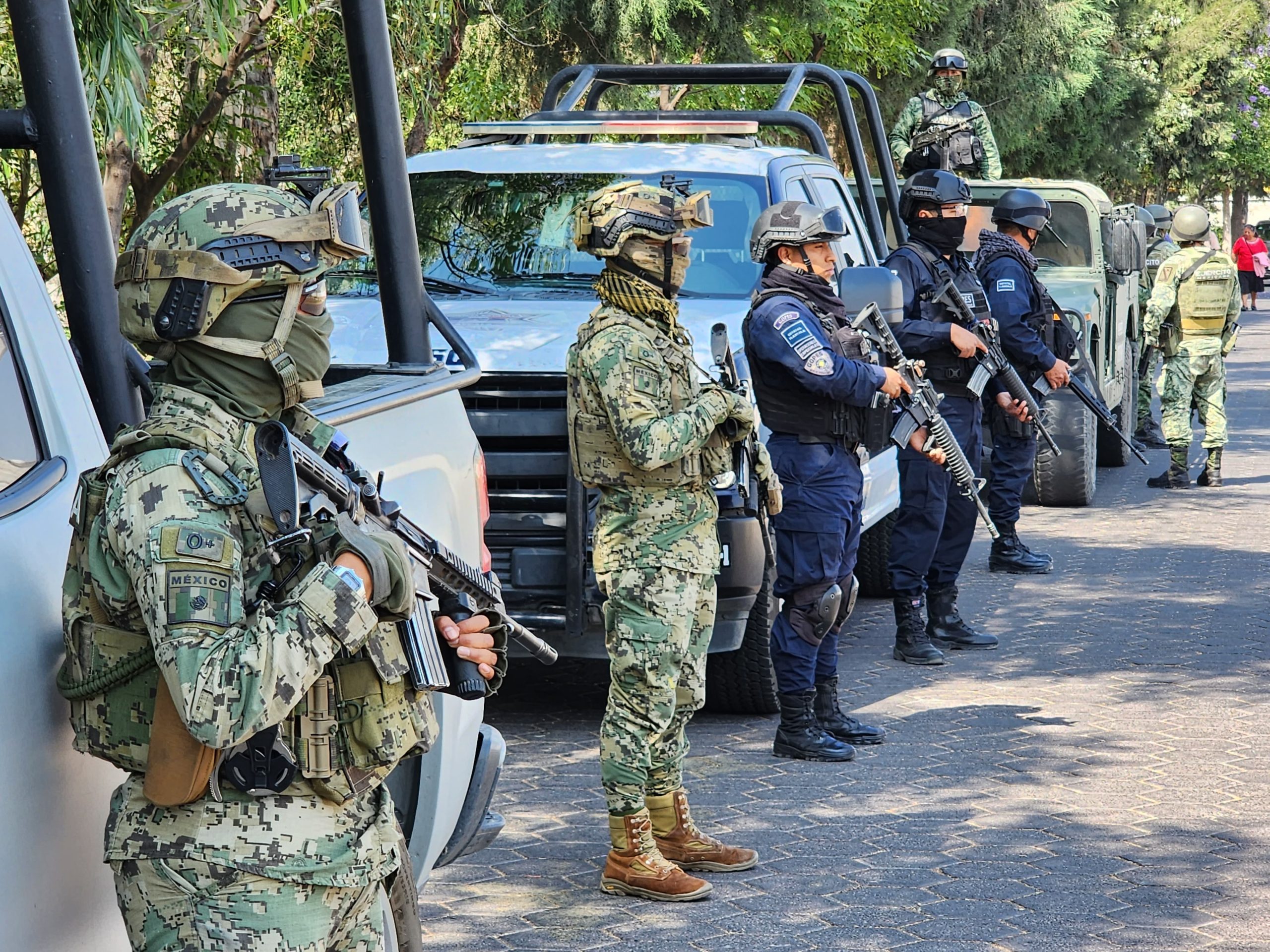 Mando Único: Lo que la Diputada Brenda Cecilia debe saber con urgencia