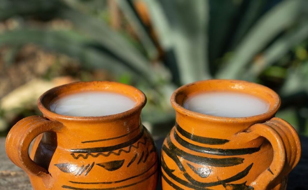 Pulque en Tlaxcala: Elixir de dioses, medicina del alma y orgullo del Altiplano