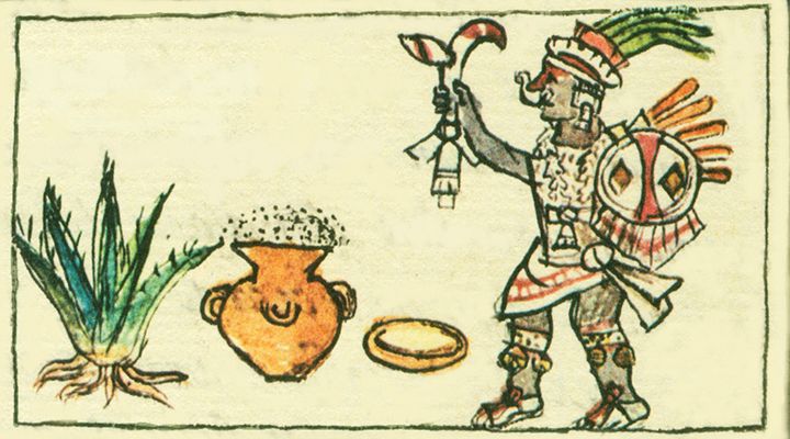 Pulque en Tlaxcala: Elixir de dioses, medicina del alma y orgullo del Altiplano