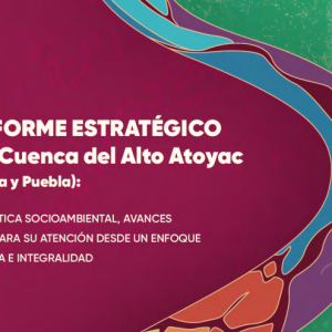 En 4 años se registraron 197 casos de leucemia relacionados con la Cuenca del Alto Atoyac