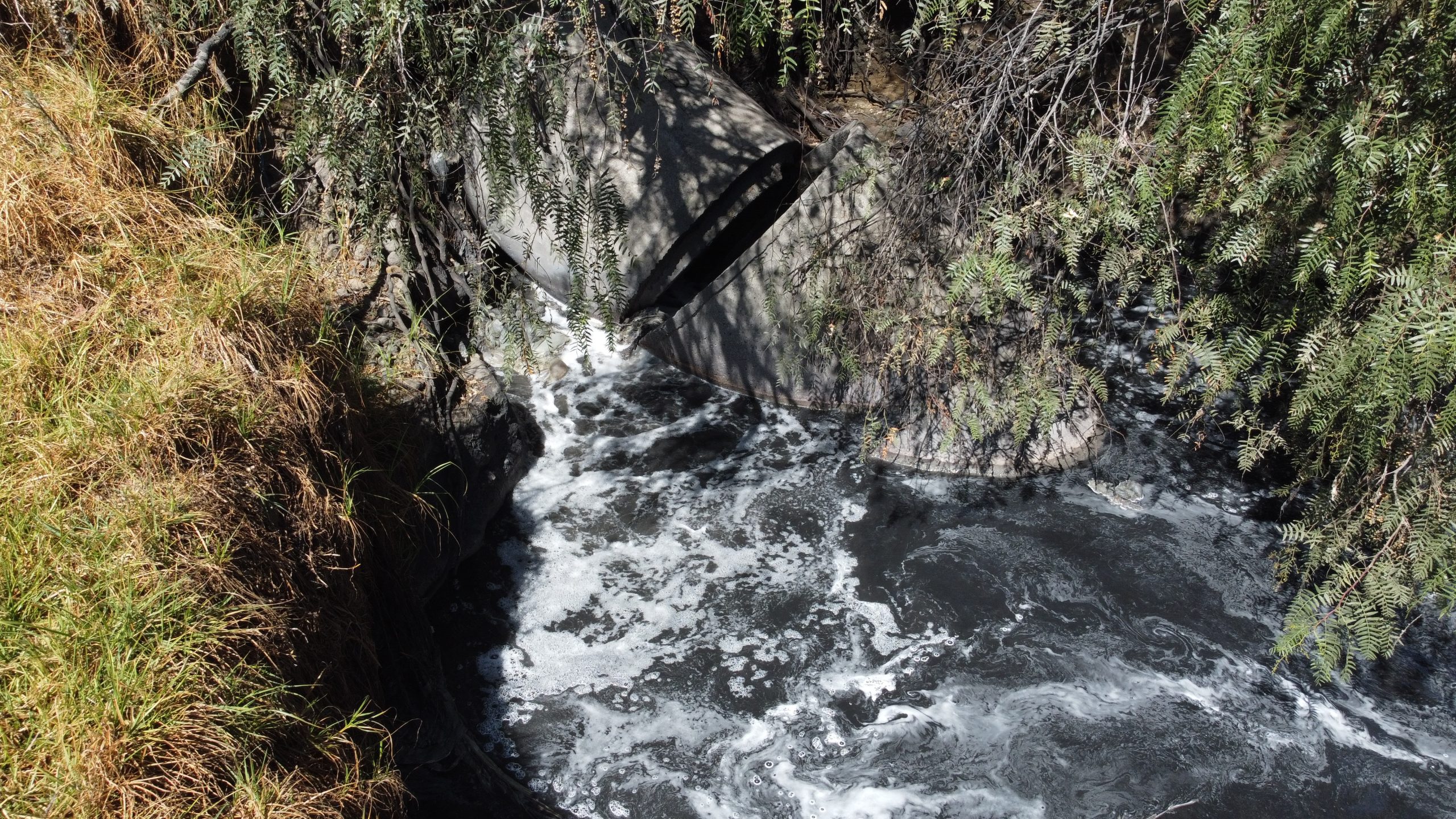 Parar la contaminación industrial y no morir envenenados: las exigencias de las comunidades de la Cuenca del Atoyac ante la ONU 2 Parar la contaminación industrial y no morir envenenados: la exigencia de las comunidades de la Cuenca del Atoyac ante la ONU