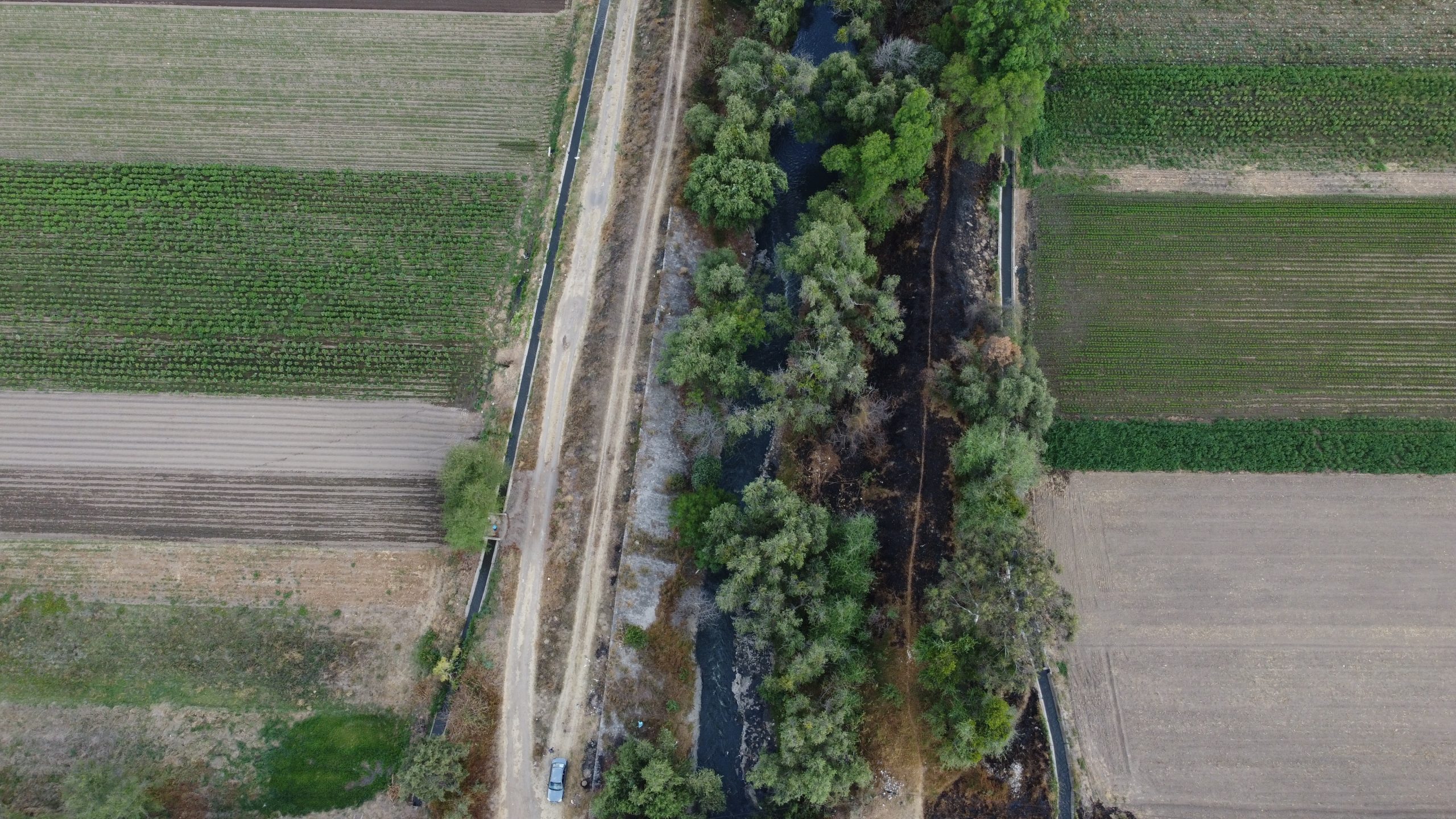Parar la contaminación industrial y no morir envenenados: las exigencias de las comunidades de la Cuenca del Atoyac ante la ONU 5 DJI 0076 scaled