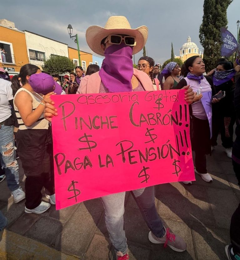 Más allá de lo viral: Denisse relata lo difícil que es exigir justicia a un deudor alimentario