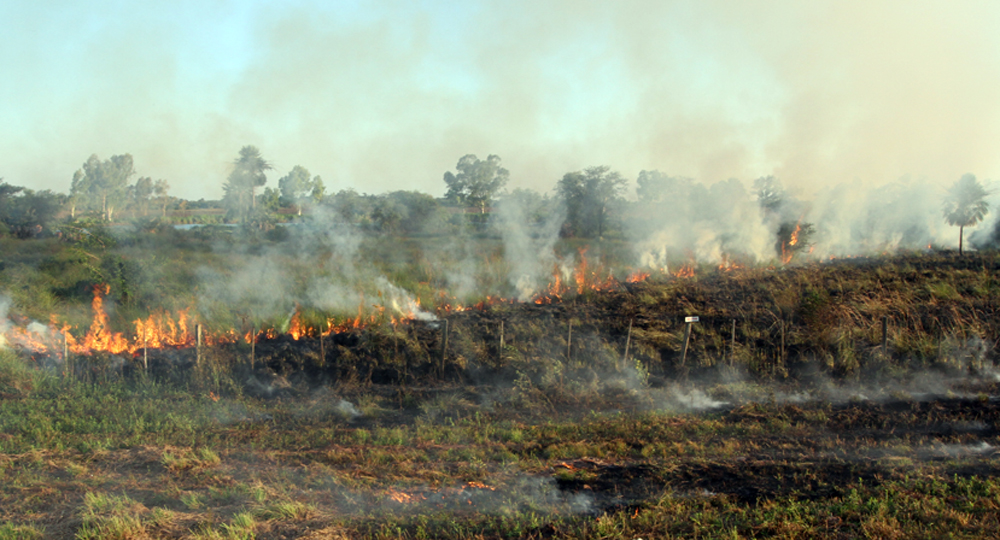 Evita la quema de pastizal con estas técnicas naturales; desde 2022, Tlaxcala registra 604 incendios