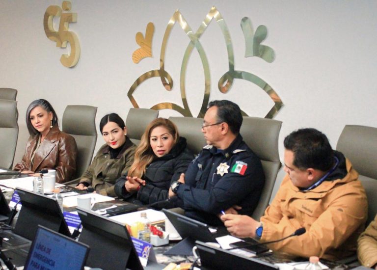 Botones de auxilio de la SMET y C5i no responden a los entornos violentos que las mujeres enfrentan: Activista