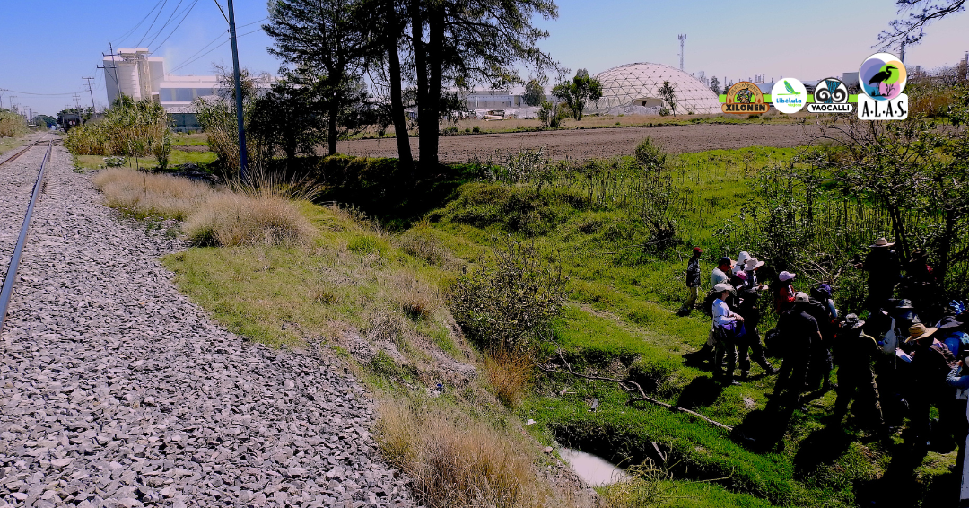 Laguna de Acuitlapilco