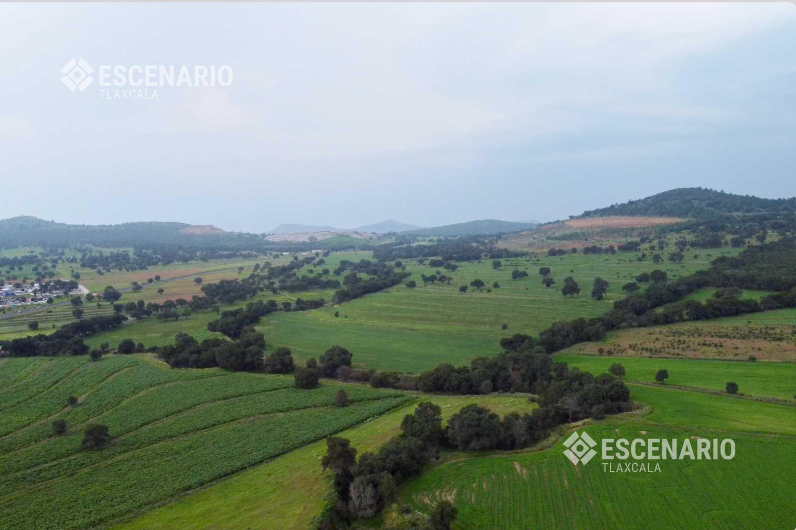 CAMPO 1