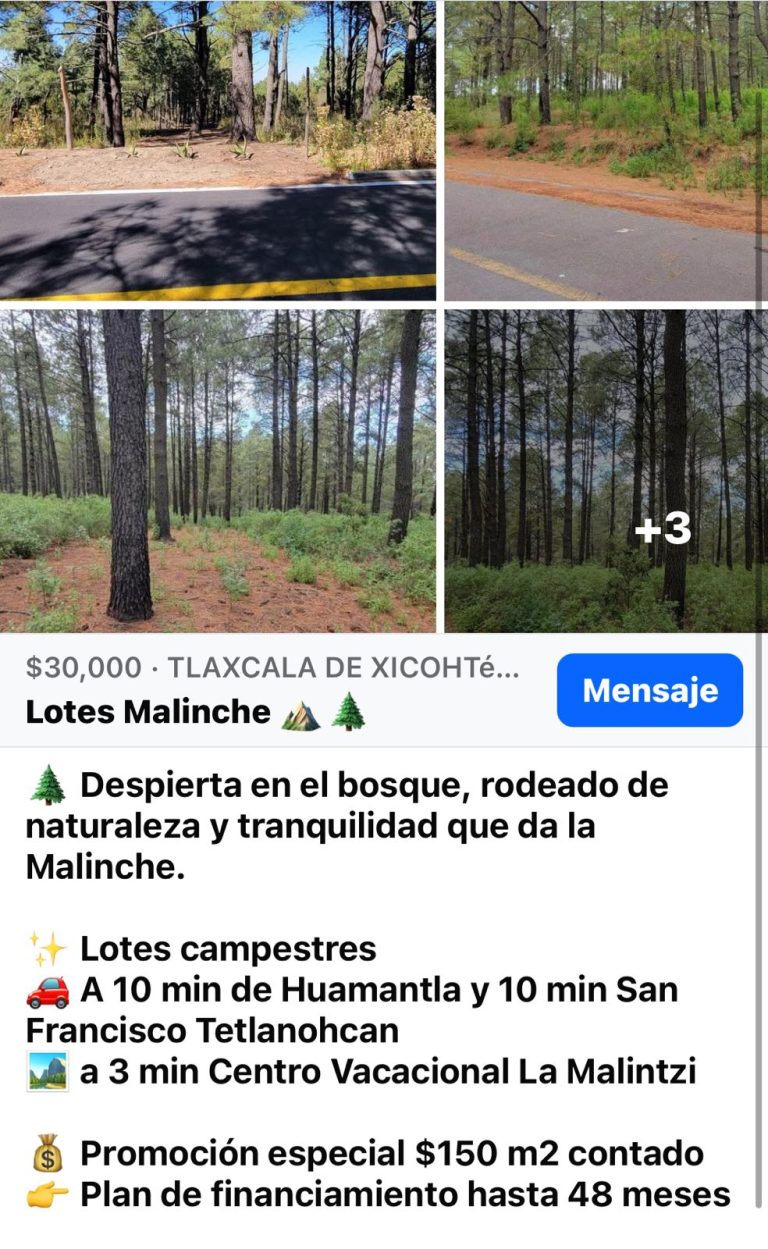 Así opera la venta de lotes en la Malinche: sin permisos, cláusulas de rescisión y costos engañosos