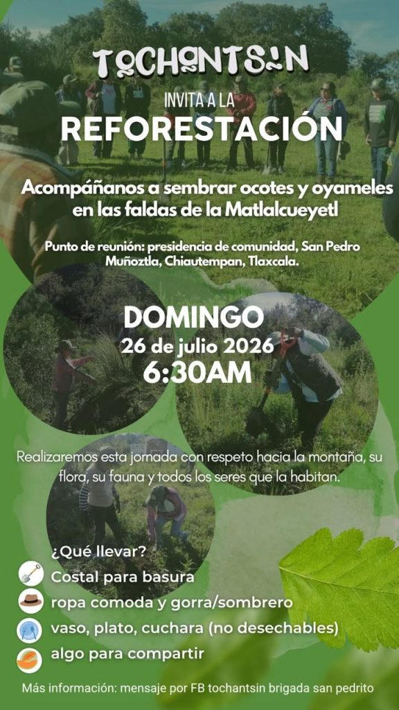 jornada de reforestación
