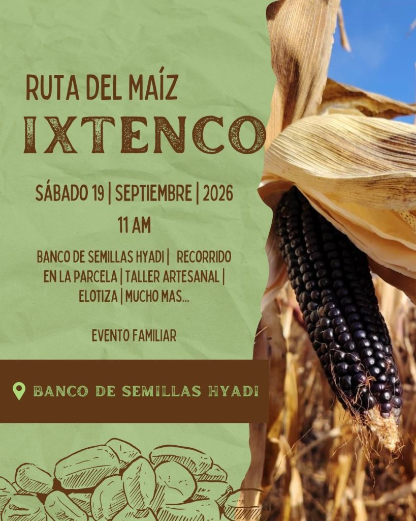 Banco de Semillas Hyadi invita a vivir la Ruta del Maíz en Ixtenco