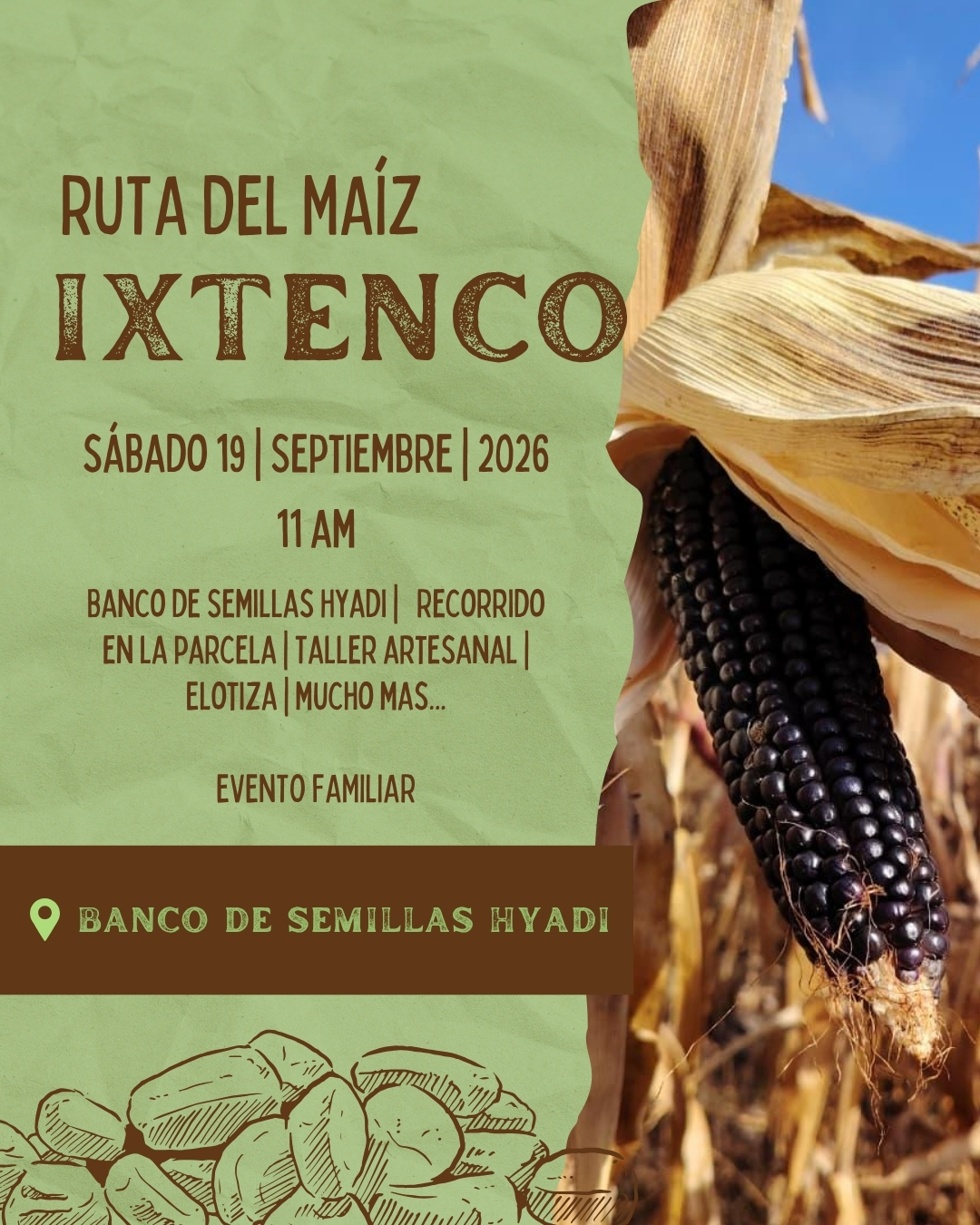 Banco de Semillas Hyadi invita a vivir la Ruta del Maíz en Ixtenco