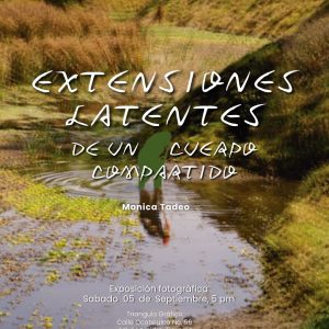 Mónica Tadeo retrata las huellas del agua y el deterioro del paisaje en nueva exposición