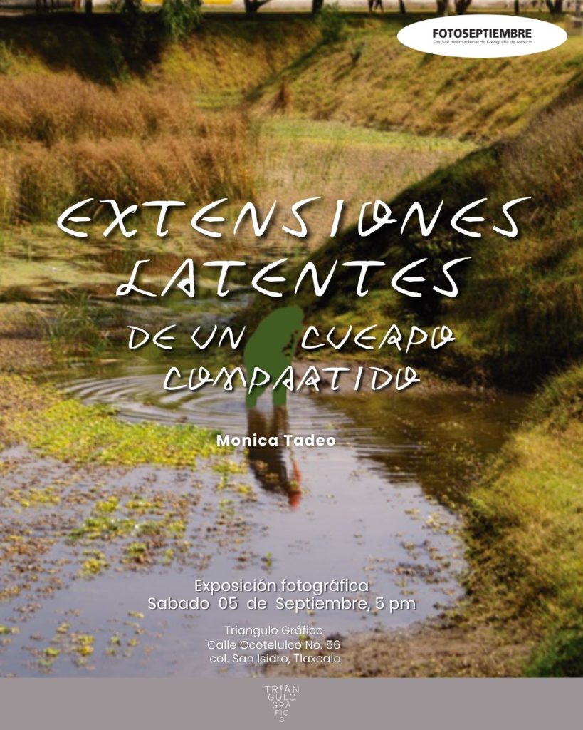 Mónica Tadeo retrata las huellas del agua y el deterioro del paisaje en nueva exposición 3 Mónica Tadeo