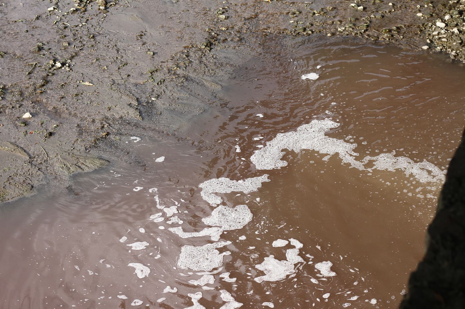 Vigilar las descargas no es sanear el río, ¿qué falta para recuperar el Zahuapan?