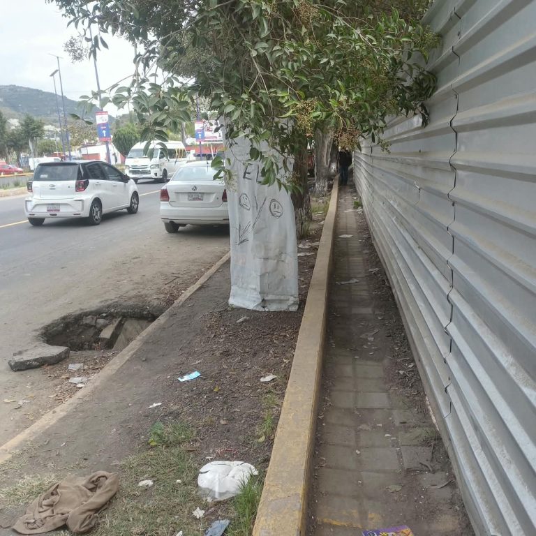 Denuncian obstrucción de la vía pública por trabajos de “embellecimiento” del recinto ferial